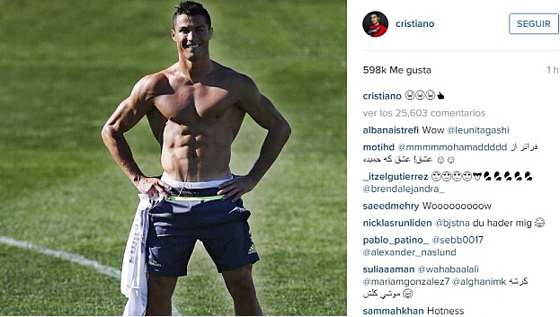 条款对齐俱 条款对齐俱