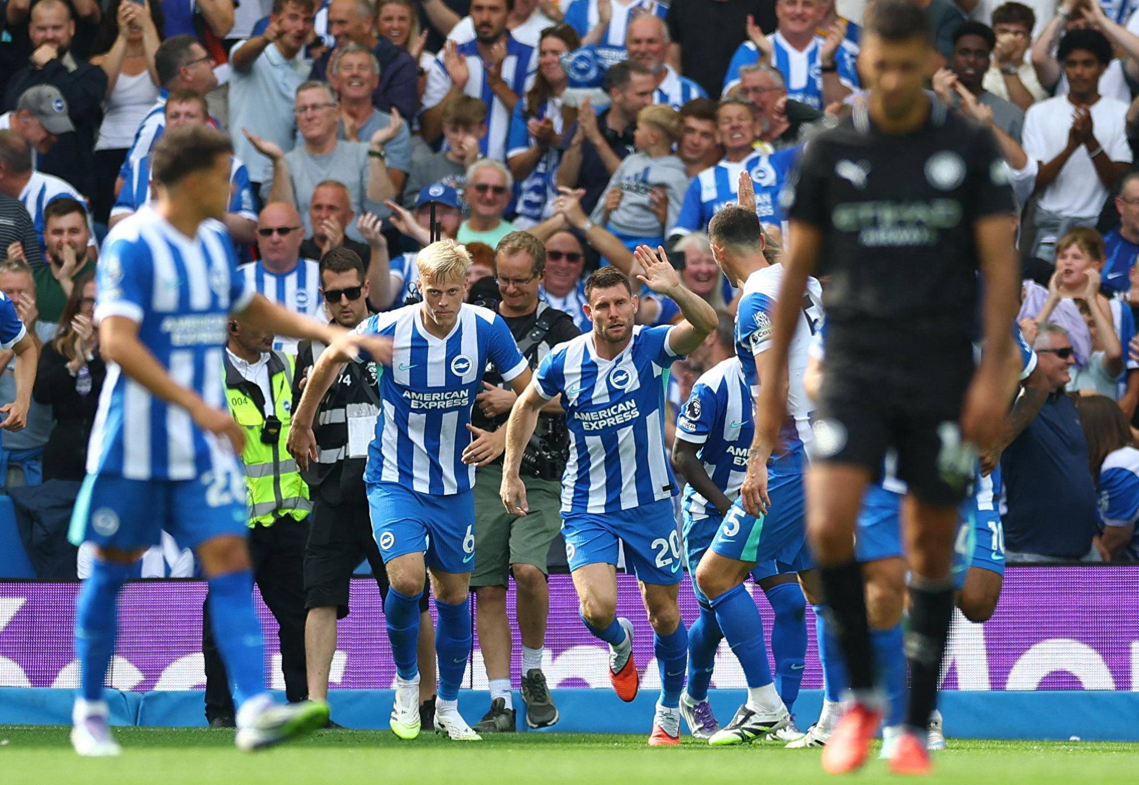 完全决定 完全决定