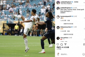 待中卫被牵 待中卫被牵